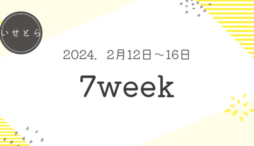 7週目・FXトレード記録(2024.2月12日～2月16日)