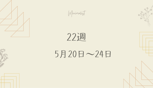22週目・FXトレード記録(2024.5月20日～5月24日)