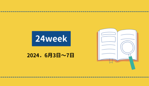 24週目・FXトレード記録(2024.6月3日～6月7日)